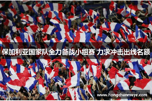 保加利亚国家队全力备战小组赛 力求冲击出线名额