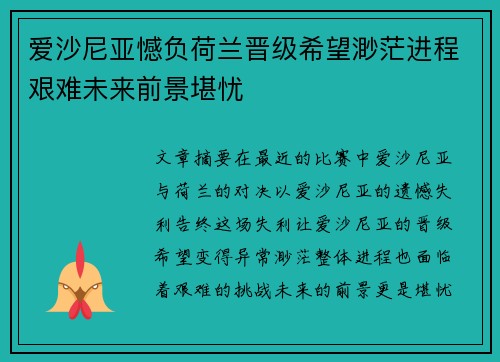 爱沙尼亚憾负荷兰晋级希望渺茫进程艰难未来前景堪忧