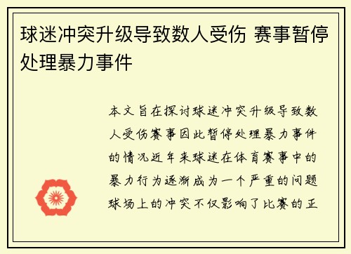 球迷冲突升级导致数人受伤 赛事暂停处理暴力事件